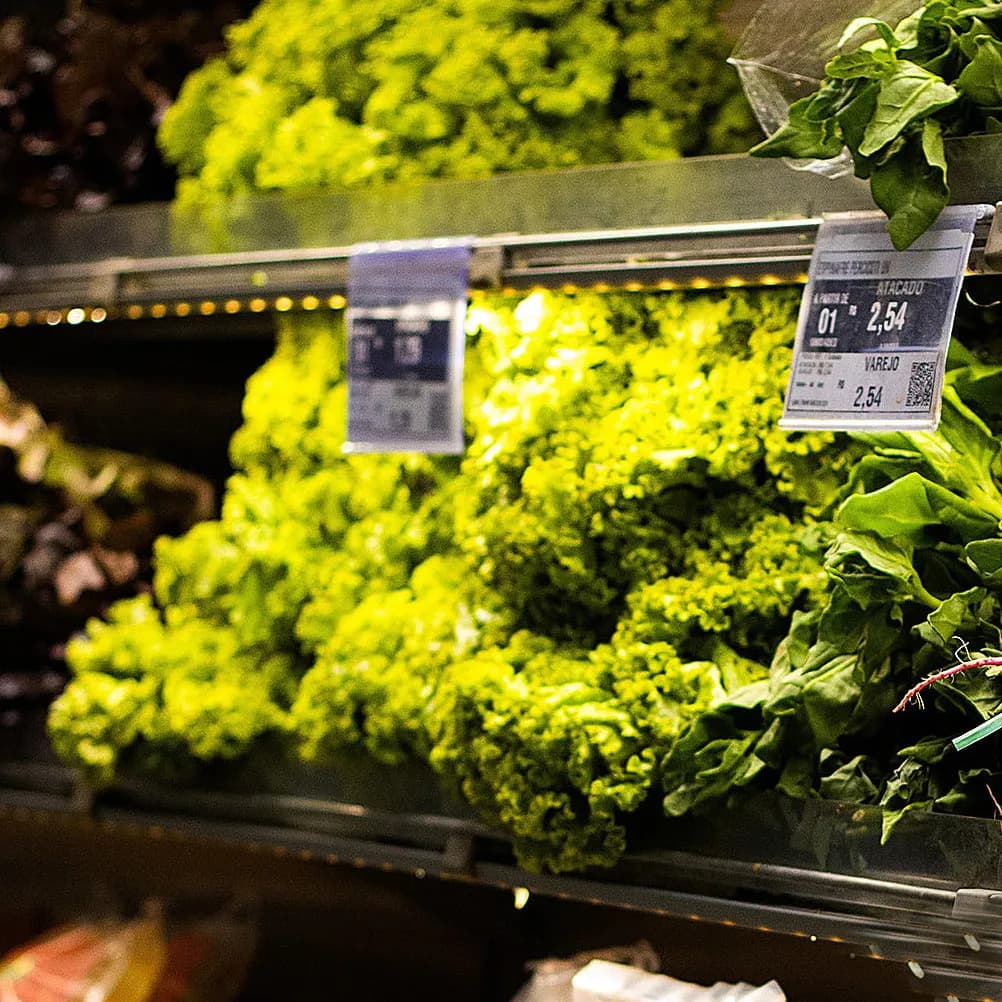 50 Pezzi Portaetichette in Plastica Trasparente per Etichette da Scaffale, Porta Prezzi per Supermercati, Centri Commerciali, Ristoranti, Scuole, Fiere