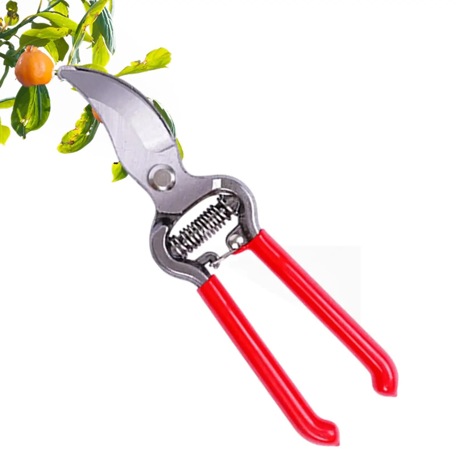 Forbici per innesto e potatura, attrezzi per bonsai, cesoie per alberi da frutto, forbici per la raccolta della frutta, cesoie da giardinaggio