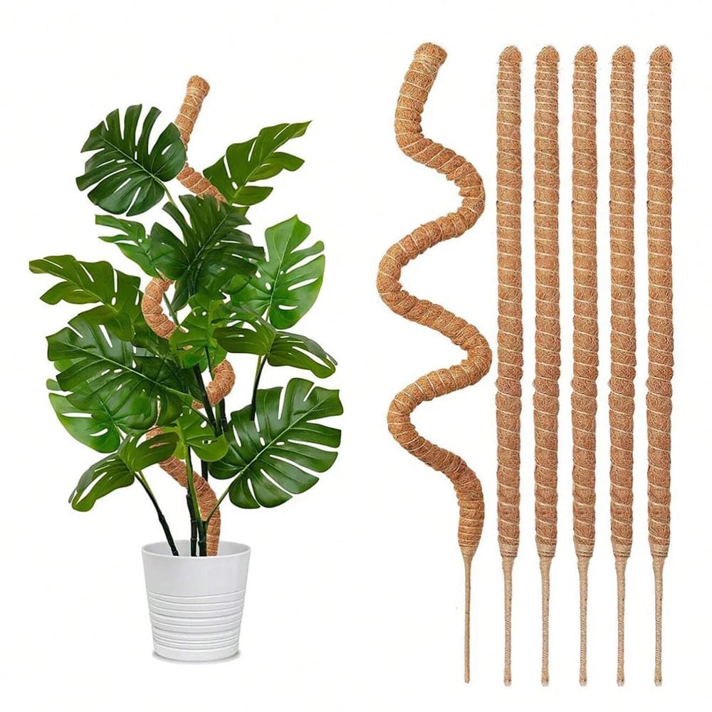 Palo di muschio per piante, supporto per Monstera, tutori per piante rampicanti da interno, traliccio da giardino, bastone per piante in vaso