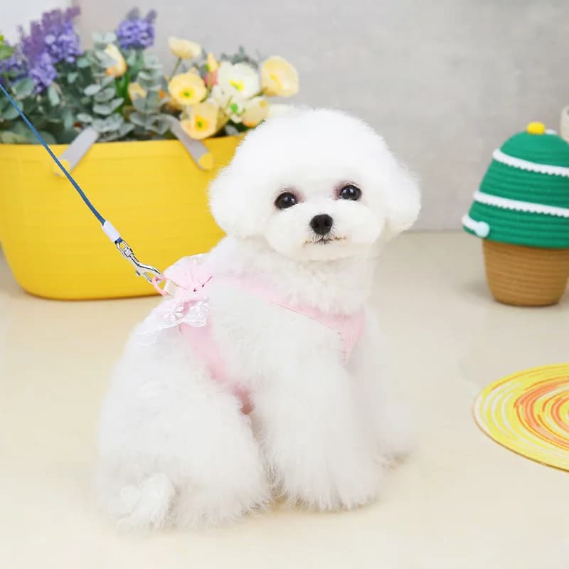 Cute Fashion Dog Clothes with Built-in Harness Vest No Leash Teddy Cat Pet Apparel Butterfly Design