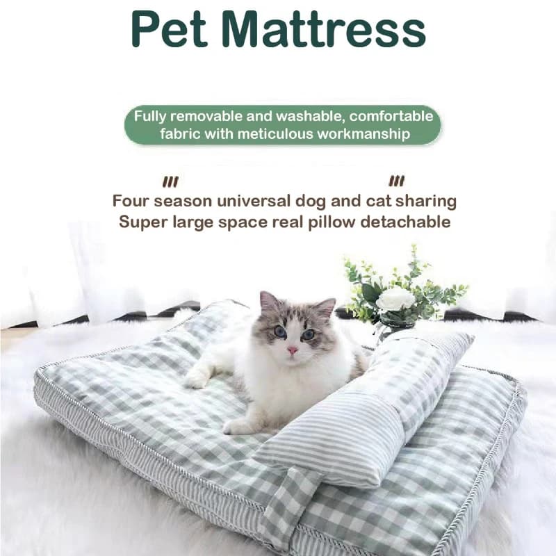 Letto per cani con cuscino Rimovibile e lavabile Quattro stagioni addensato per il sonno profondo Cuccia per lettiera per gatti Cane di taglia media e piccola