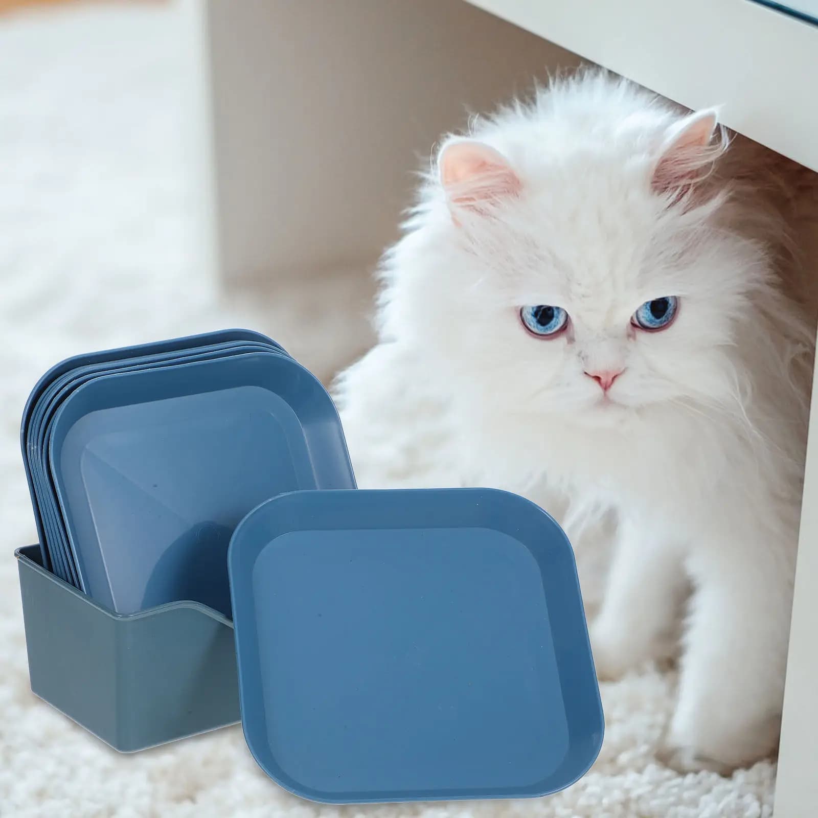 1Set Cat Bowl PP Material Stable Non-Slip Small Pet Feeding Dish Flat Shallow Plate for Cats Indoor Cats Food Bowl Easy Clean