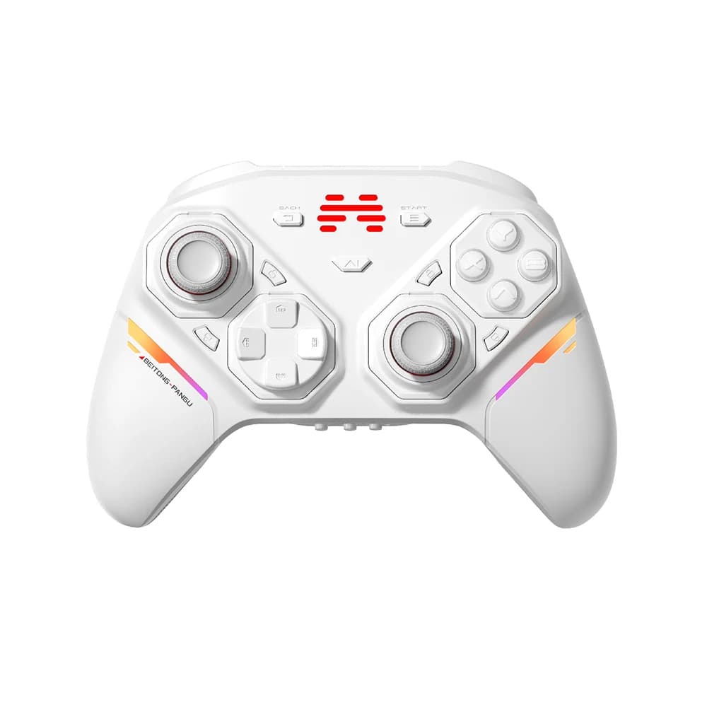 EIBTONG PanGu Custom Modular Game Controller, Gamepad Wireless for PC/NS2/Mobile/Steam