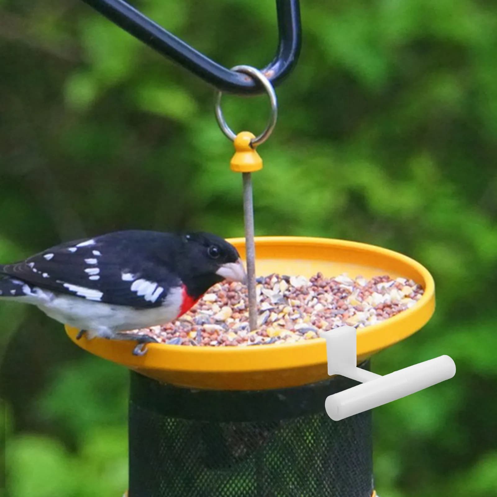 Set di 5 Mangiatoie per Uccelli in Acrilico Premium, Leggere ma Robuste, Stazione di Alimentazione per Piccoli Uccelli e Pappagalli