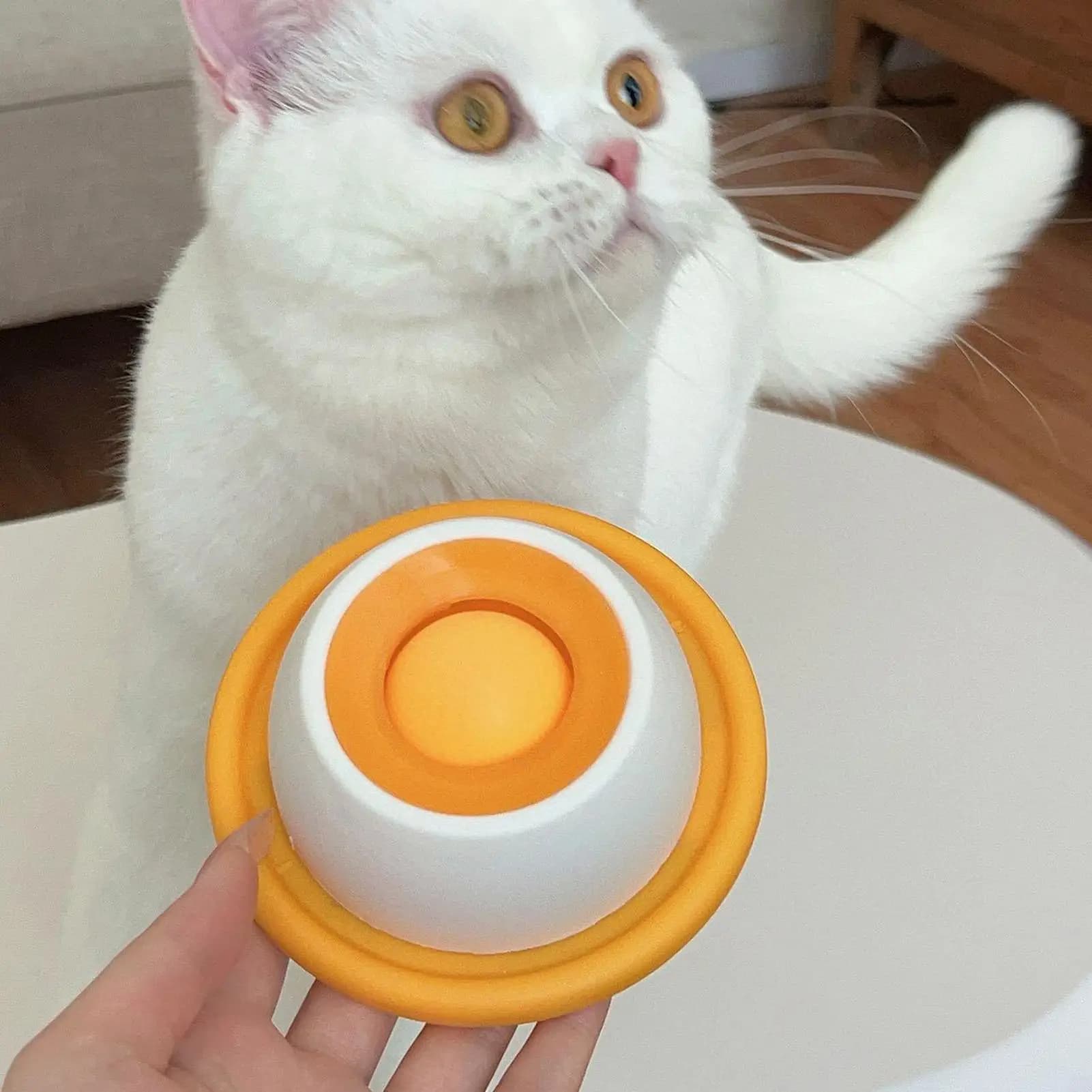 Giocattolo per leccare il cane Dispenser interattivo per dolcetti per cani Arricchimento Lento Forniture per animali domestici per l'addestramento alimentare del gatto Mangiare sano Alimentazione della cassa