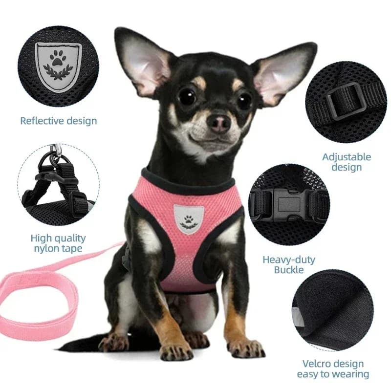 Gilet regolabile per imbracatura per cani in rete di poliestere per animali domestici di piccola taglia media, gatti, cuccioli per camminare, guinzaglio in piombo a LED, ideale per Halloween