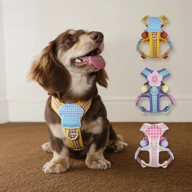 3-in-1 No Pull Dog Harness with Lift Handle Dual D-Rings Waterproof Adjustable Pet Vest Walking Harness for Small Medium Dogs