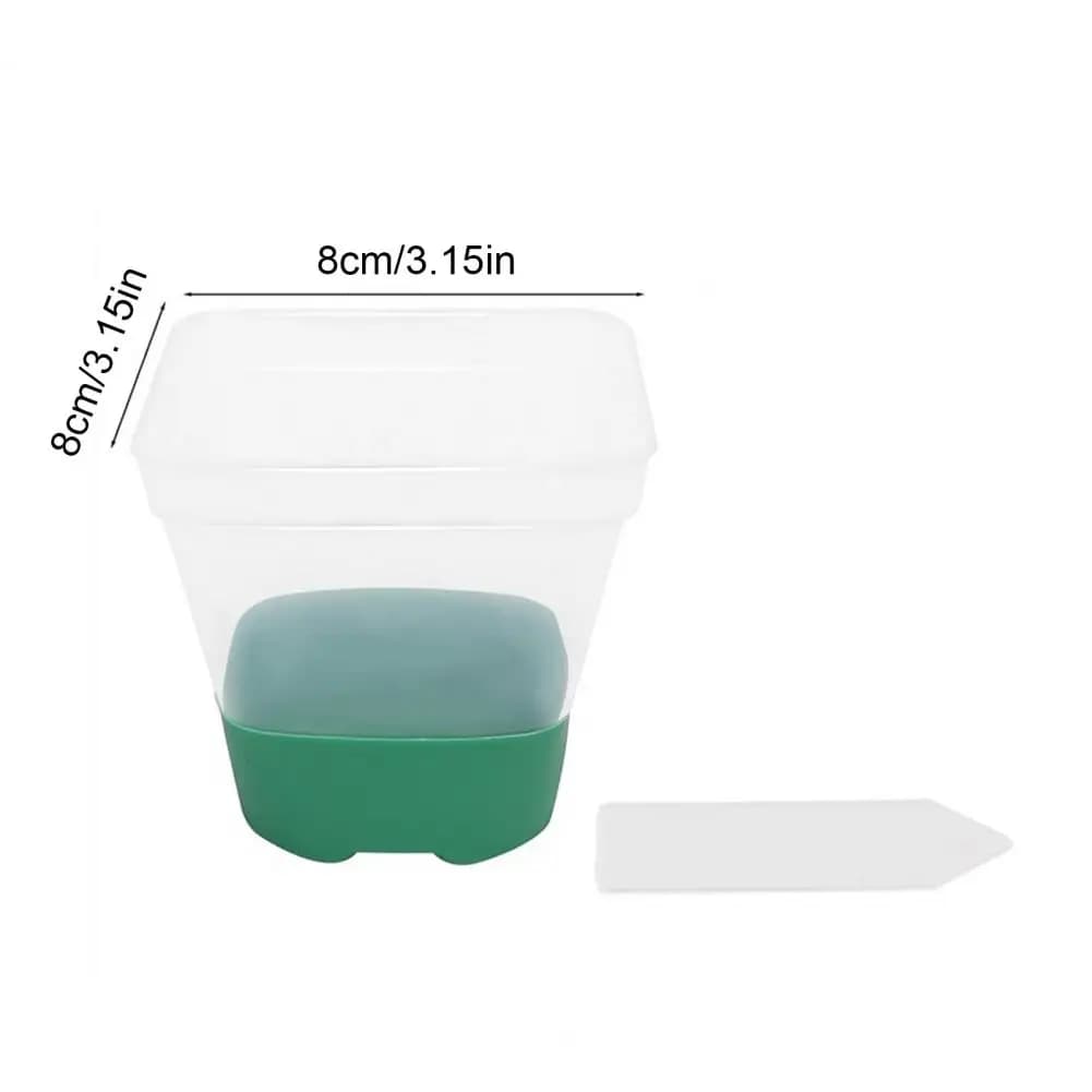6 pieces transparent jars for nursery vessels for cultivation of seedlings with silicone base flower pot with labels for garden balcony