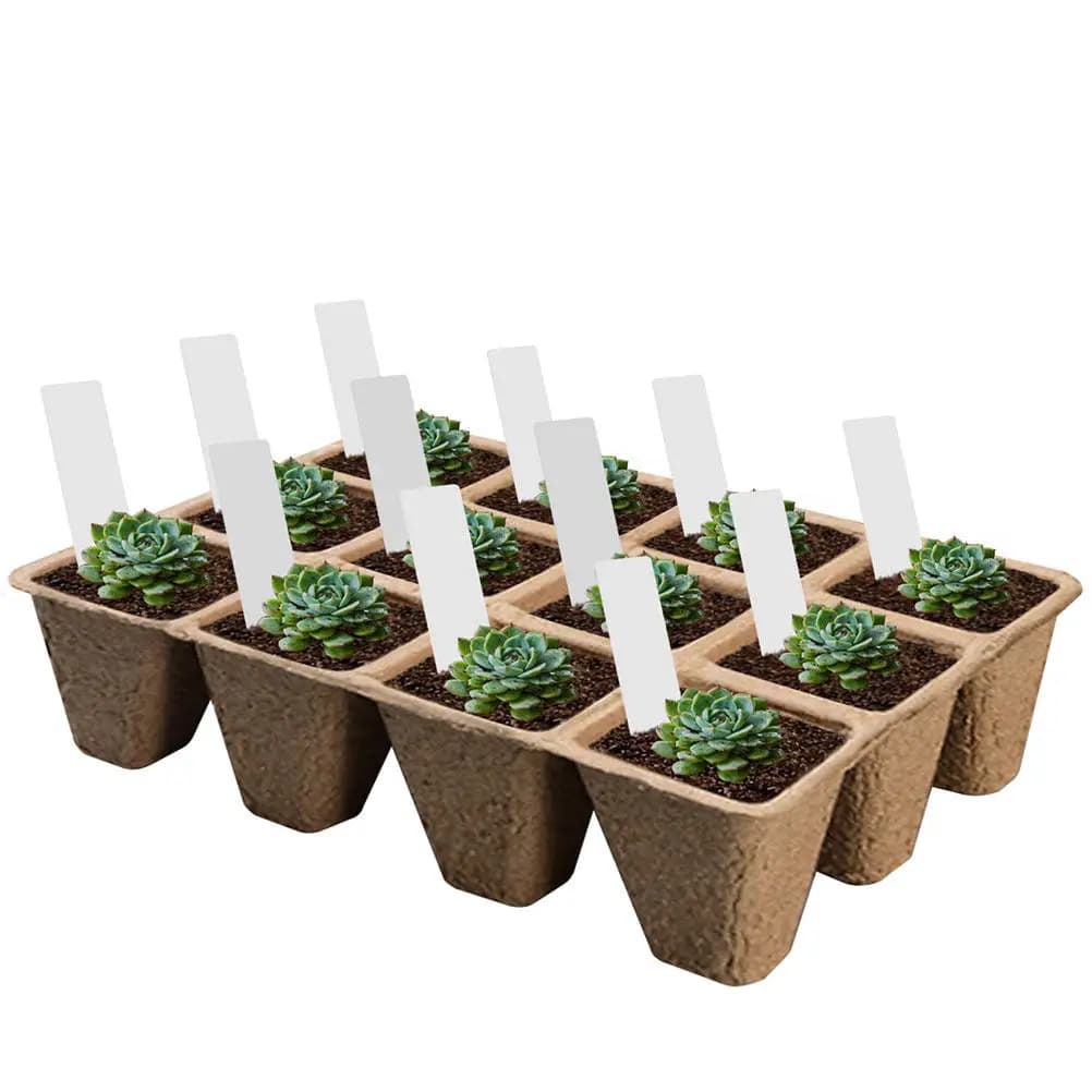 Set di Contenitori Biodegradabili per Piantumazione con 12 Scomparti, Vasi per Semina di Fiori, Verdure e Coltivazione Idroponica