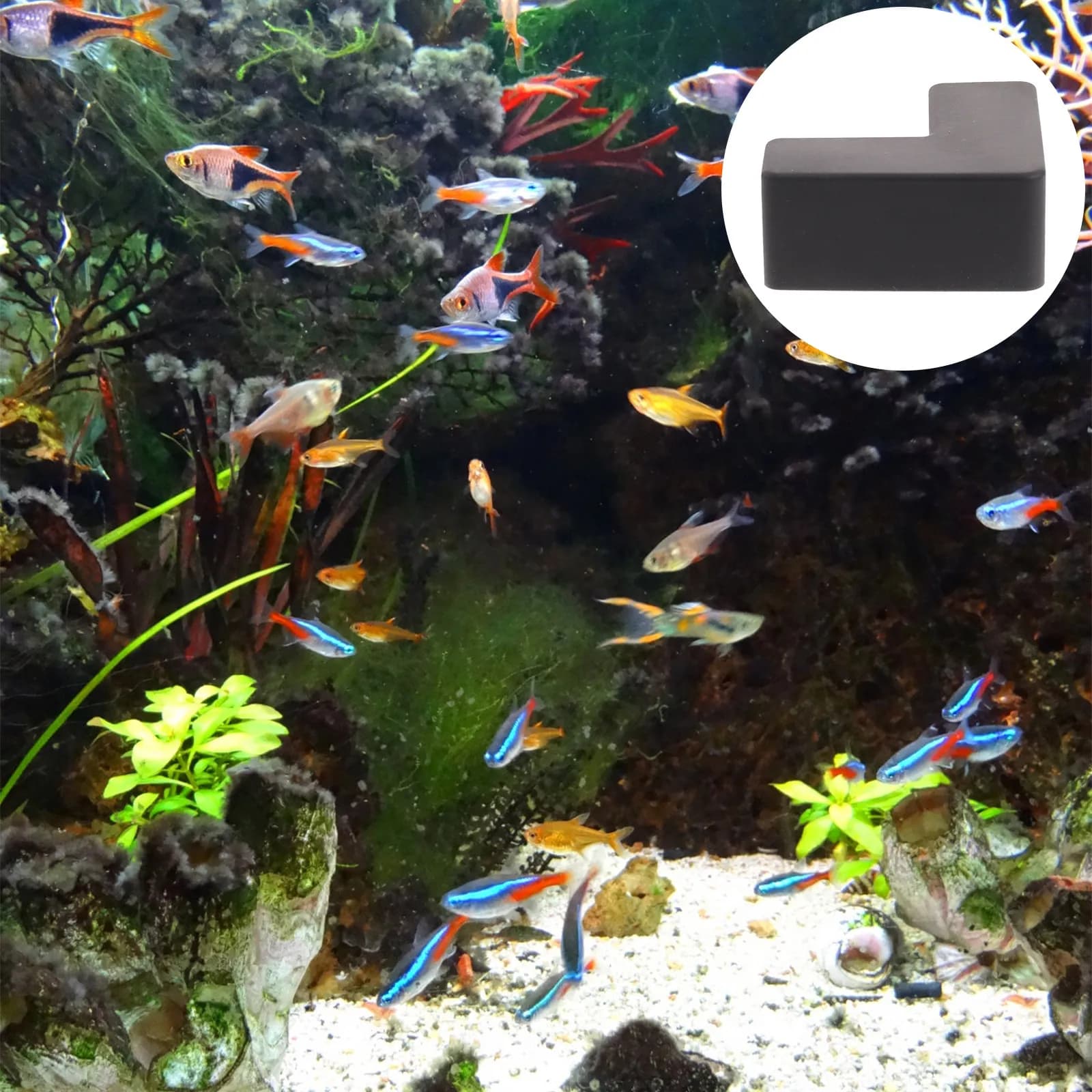 6 Pezzi Protezioni Angolari Anti-Collisione in Silicone, Paracolpi di Sicurezza per Bambini, Protezioni per Bordi di Acquari e Trasportini per Animali