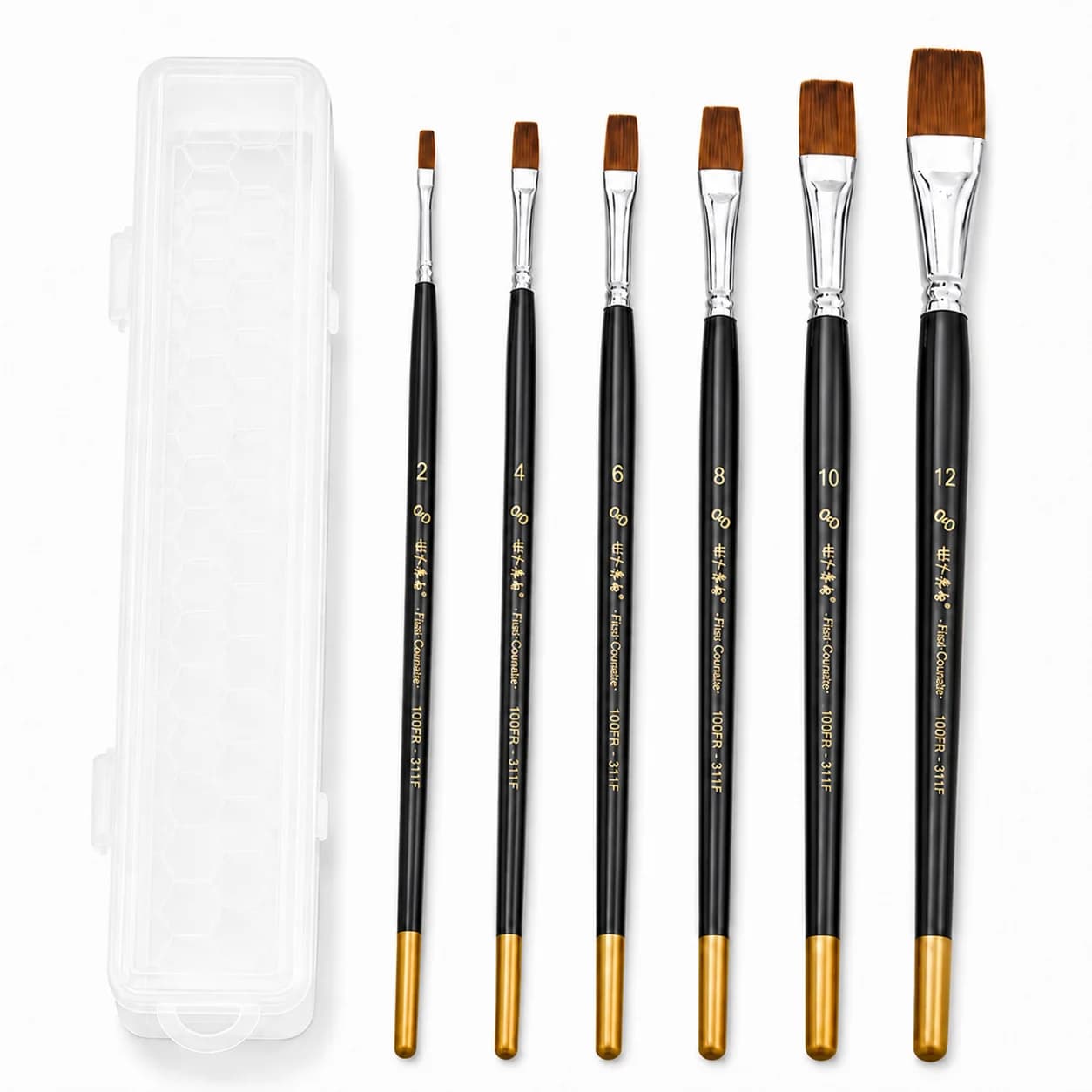 6pcs Professional Flat Tip Paint Brushes Set with Storage Box, Horse Hair Brushes with Extended Wooden Handles, for Acrylic,Oil