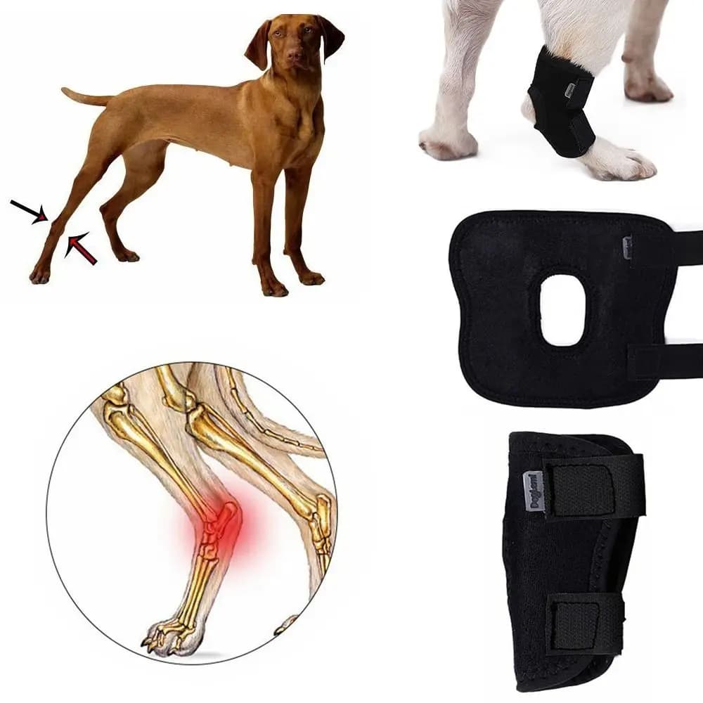 Protects dog wrapping protective cover for arthritis dogs Hock Joint Brace Dog Leg Support dogs recovery knee pads for pets