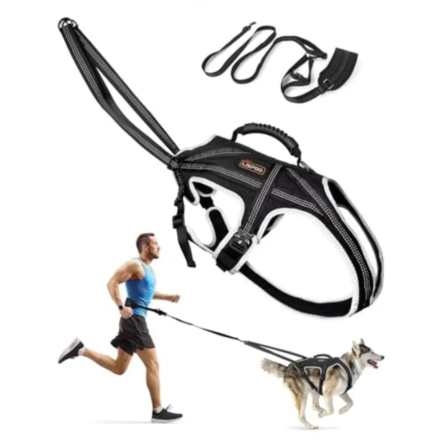 Set Imbracatura per Cani con Cintura Lombare e Guinzaglio Ammortizzante, Imbracatura Regolabile per Slitta, Corsa, Escursionismo e Ciclismo, Medi