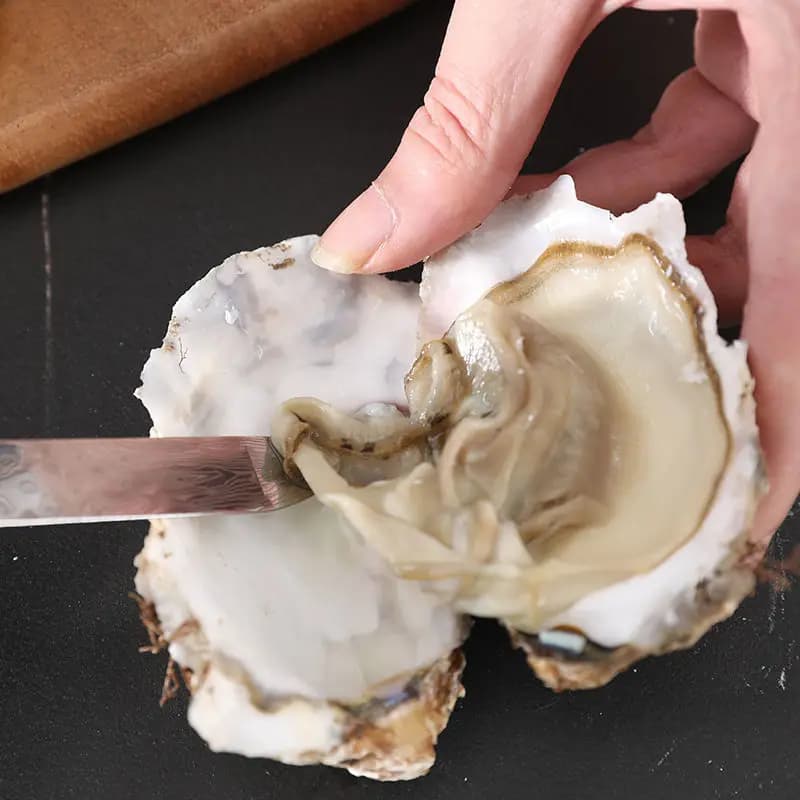 Apri Ostriche in Acciaio Inox, Utensile Pratico per Aprire Frutti di Mare e Conchiglie, Accessorio da Cucina