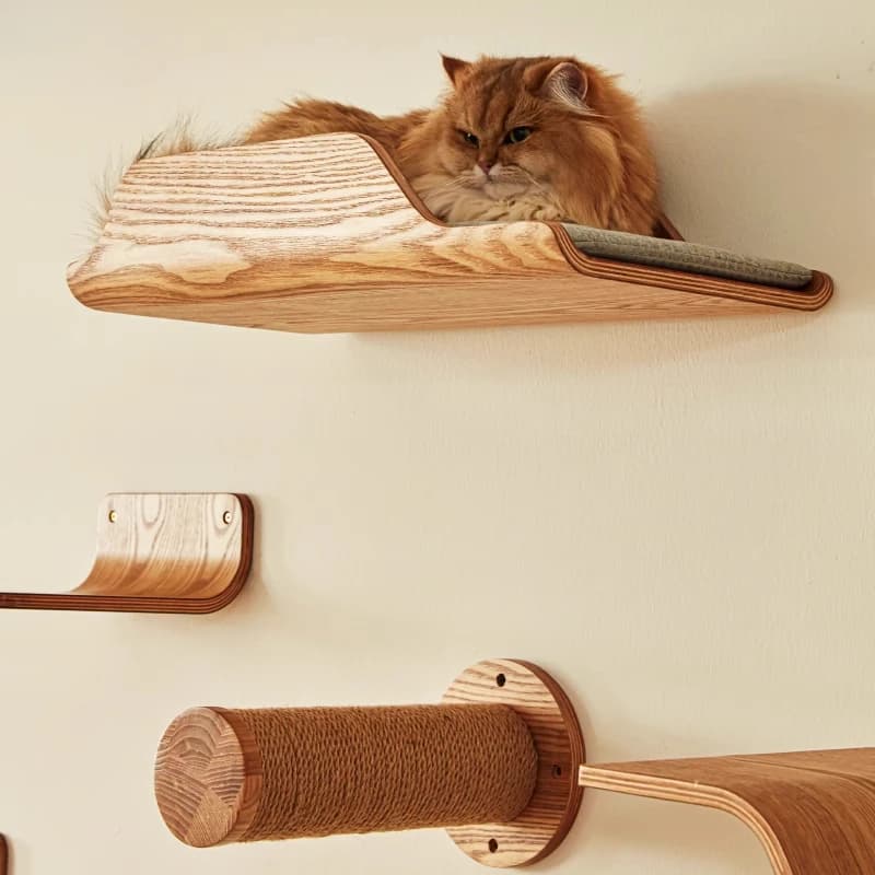 Torre Arrampicata Multifunzionale per Gatti, Letto per Gatti in Legno Massello da Parete, Robusto e Durevole, Albero per Gatti Salvaspazio, Arredamento per Animali Domestici per la Casa