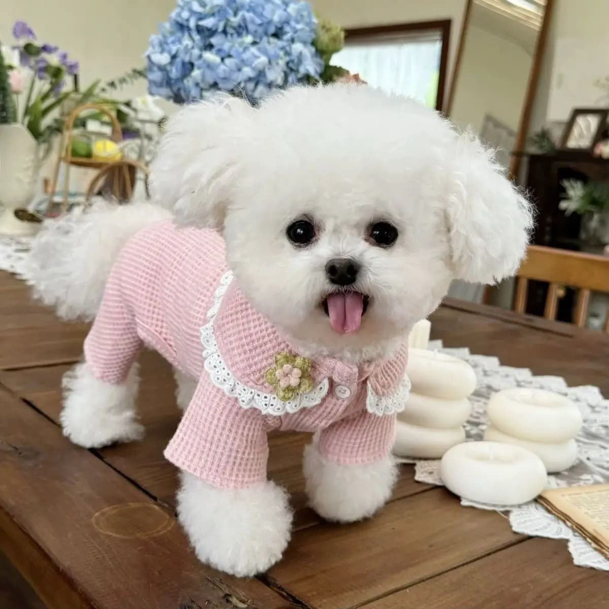 Maglione per cani e gatti con colletto vescopico in maglia waffle, completo per gattini e cuccioli a quattro zampe, morbido per animali domestici di piccola/media/grande