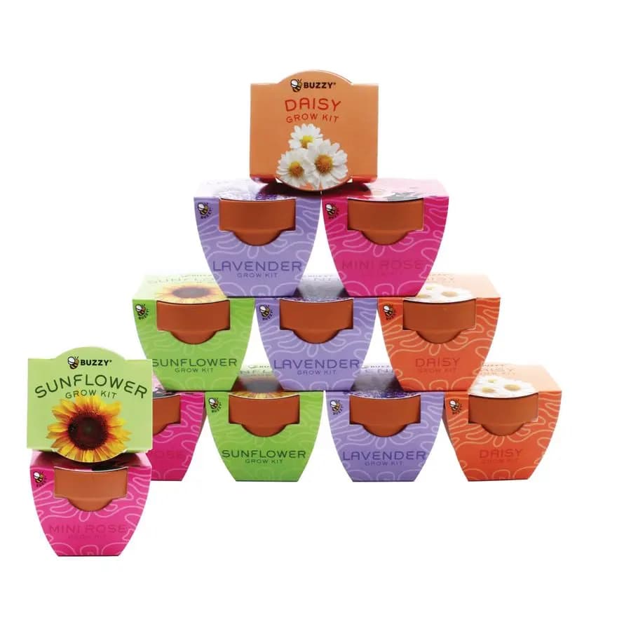 Mini Vase in Terracotta for Seeds, Kit Avvio per Fiori, Confezione Assortita da 12, Collezione Serie Bright: Margherita, Lavanda, Mini Rosa, Girasole