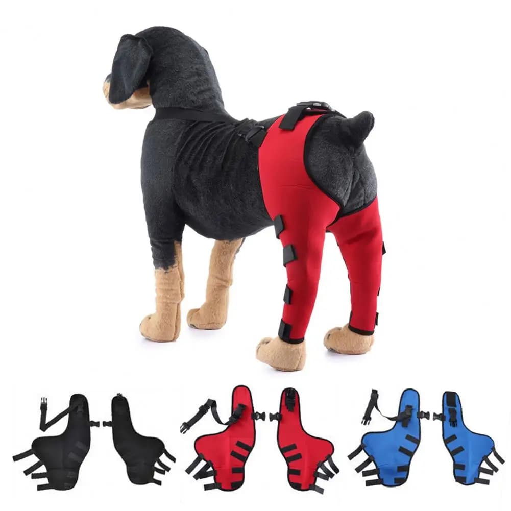 Supporto per le gambe del cane Ginocchiera per cani regolabile per lesioni articolari della gamba strappata Acl Doppia gamba posteriore per lesioni Osteoartrite