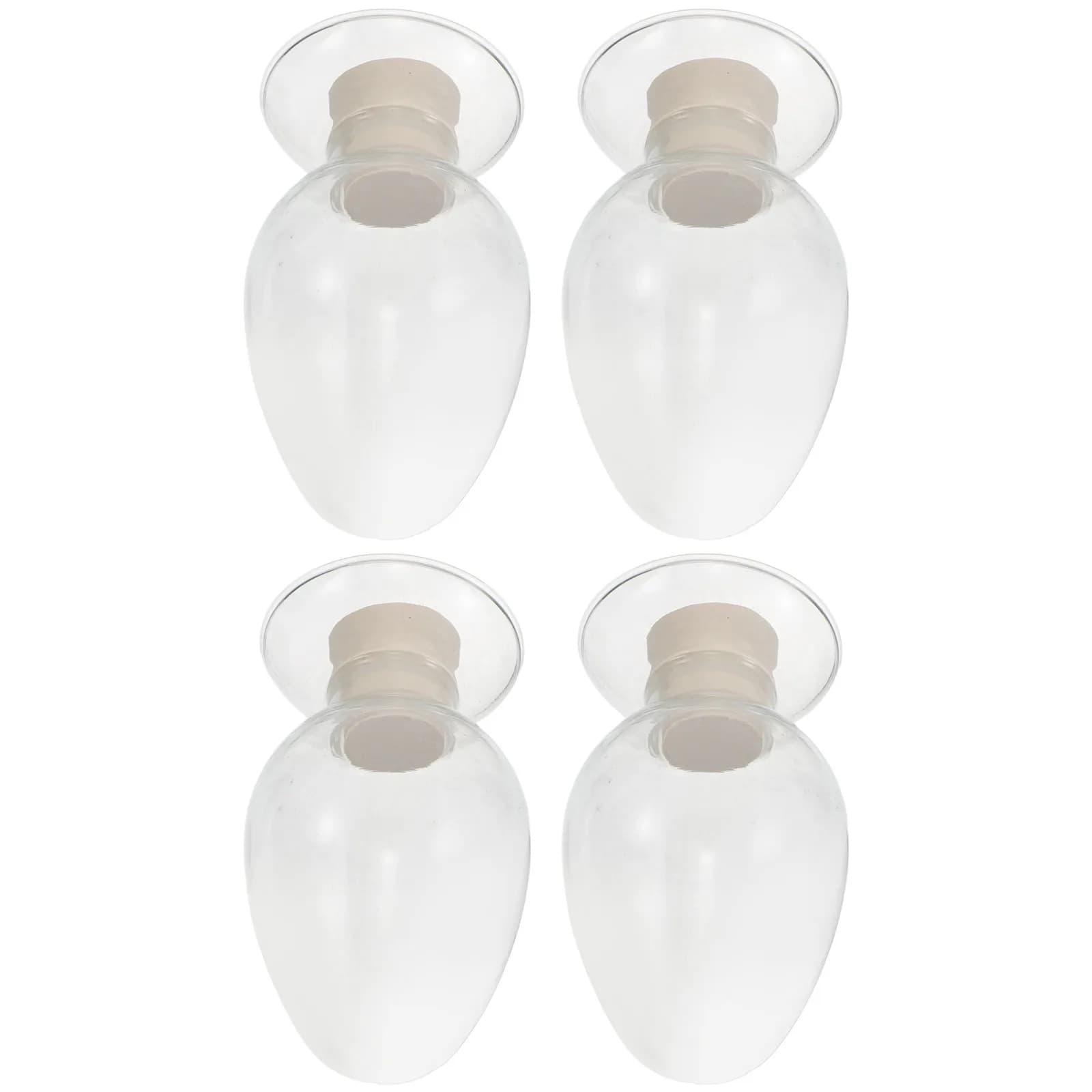 Set di 4 Vasetti in Vetro Trasparente con Tappo per Conservazione Semi, Organizzatore per Semi di Piante, Fiori e Verdure, per Laboratorio e Giardino