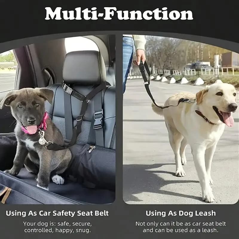 Cintura di Sicurezza per Animali Domestici, Guinzaglio Regolabile per Cani, Imbracatura Sicura per Viaggi in Auto