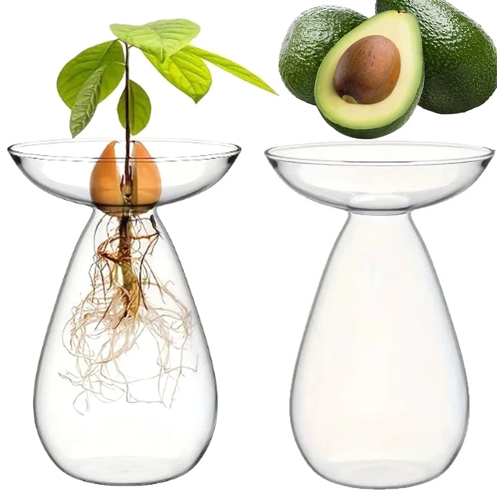 Vaso Idroponico per Semi di Avocado, Stazione di Propagazione Trasparente in Vetro, Vaso per Fiori di Avocado per Amanti del Giardinaggio