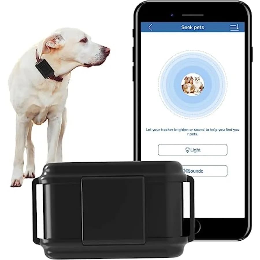 Localizzatore GPS per collare per cani: impermeabile 4G TK919PRO anti-smarrimento senza abbonamento, custodia in plastica nera