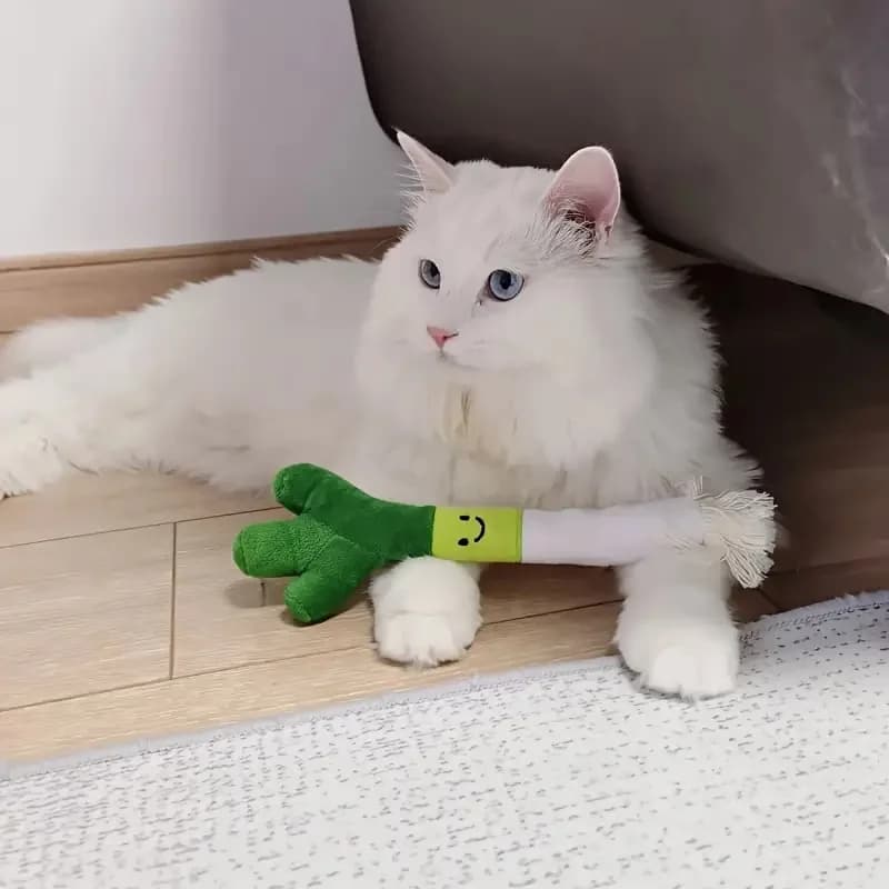 Divertenti giocattoli da masticare per cani di peluche Resistenza ai morsi Cani di piccola taglia che cigola Giocattolo sonoro Pulizia dei denti Forniture da gioco interattive per cuccioli