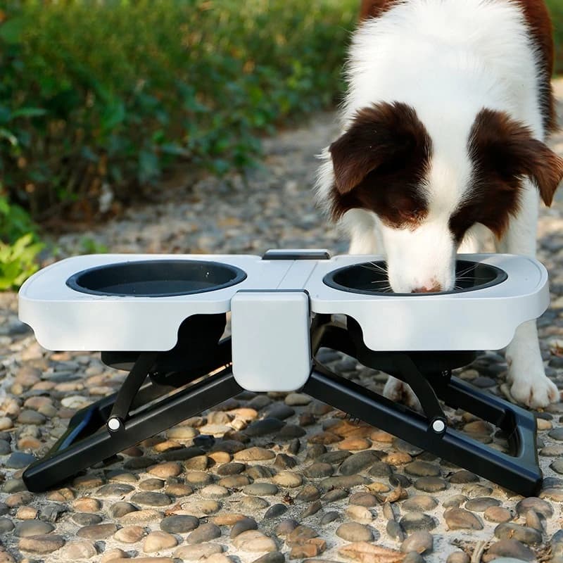 Ciotola Pieghevole per Cani con Doppio Design, Ciotola Rialzata per Cibo, Contenitore Portatile per Alimenti per Animali Domestici