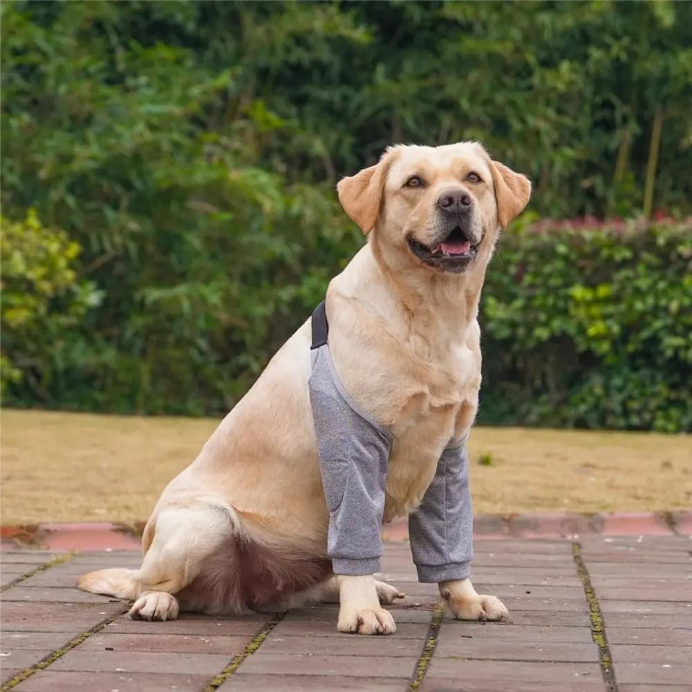 Dog Elbow Model Cartoon Cartoon Soft Cotton Dog Elbow Dog Elbow Protection for Dog Elbow Support for Shoulder Brace for Dog Puppies
