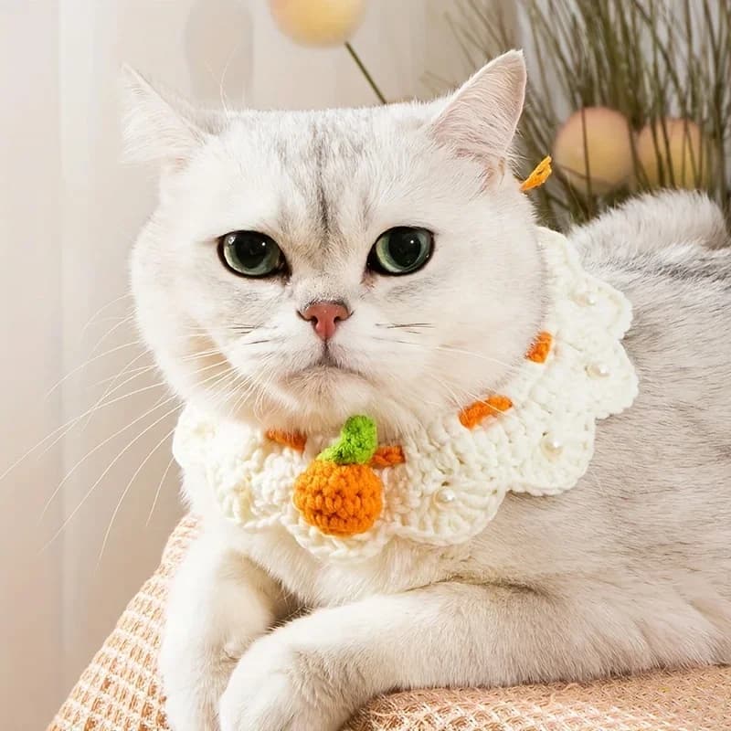 Small Orange Pet Collar Knitted Lace Bib Adjustable Scarf Handmade Cute Wool Neck Warmer Small Pet Clothing Decoration Accessory