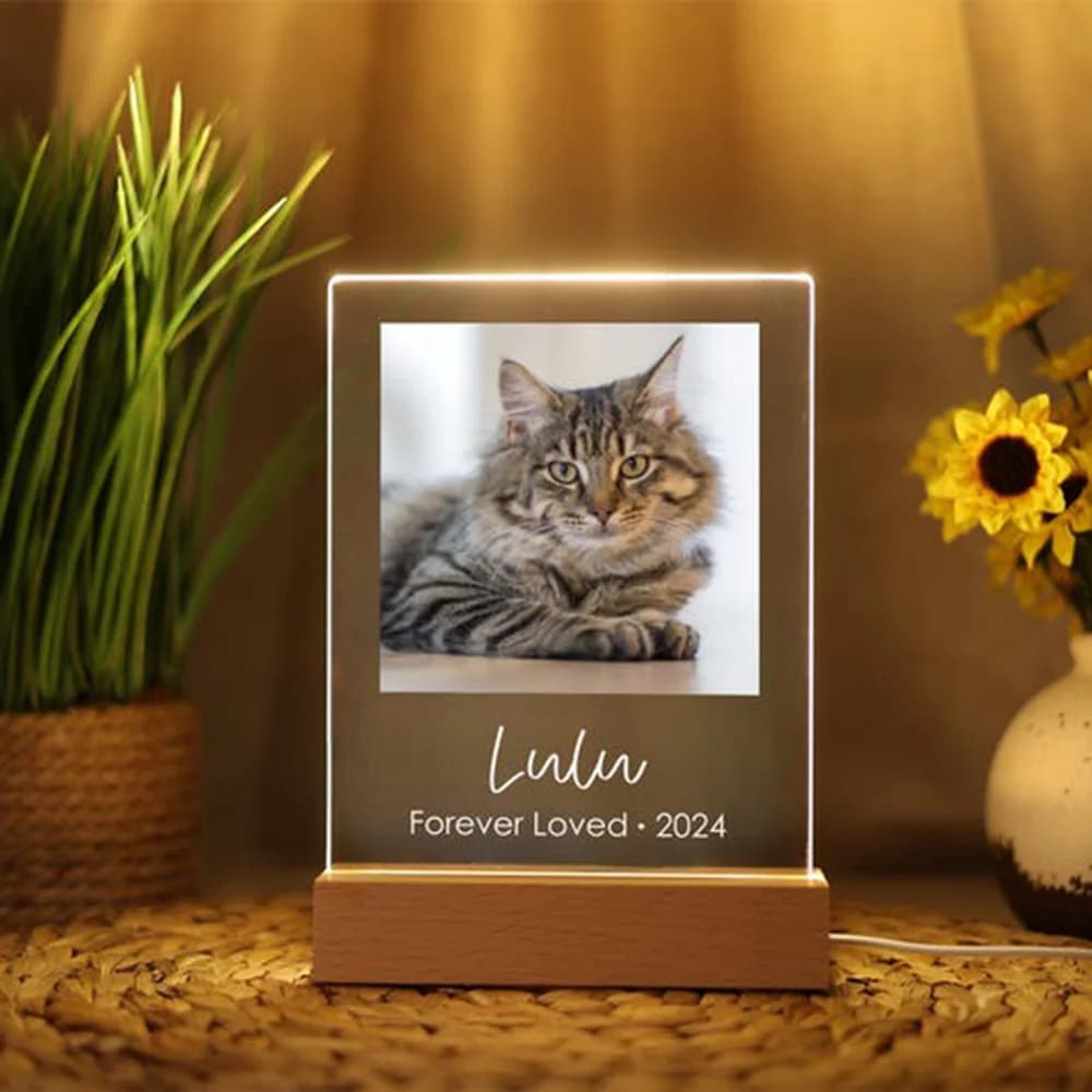 Custom Night Light with Pet Photos, Commemorative Frame for the Growth of Your Animal, Ornament with Image of Domestic Animals, Record Precious Moments
