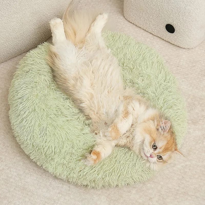 Cuccia Rotonda Lunga in Peluche per Animali Domestici, Vendita Diretta dalla Fabbrica, Cuccia Invernale per Gatti, Cuccia Calda per Cani, Materasso Universale per Animali Domestici Quattro Stagioni