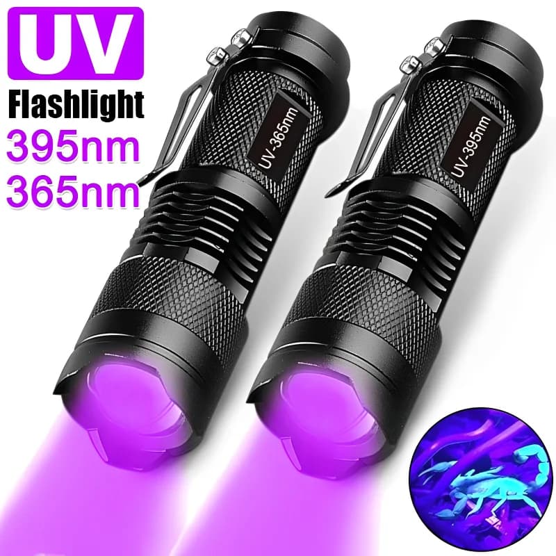 Torcia UV Luce nera Potente piccola torcia a luce nera Luce UV Mini torcia a luce nera Rilevatore di luce per urina di animali domestici
