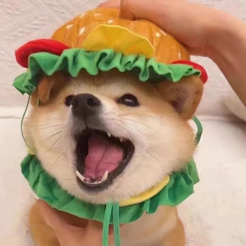 Simpatico Collare a Forma di Hamburger per Cani e Gatti, Accessorio per Costume da Festa in Maschera