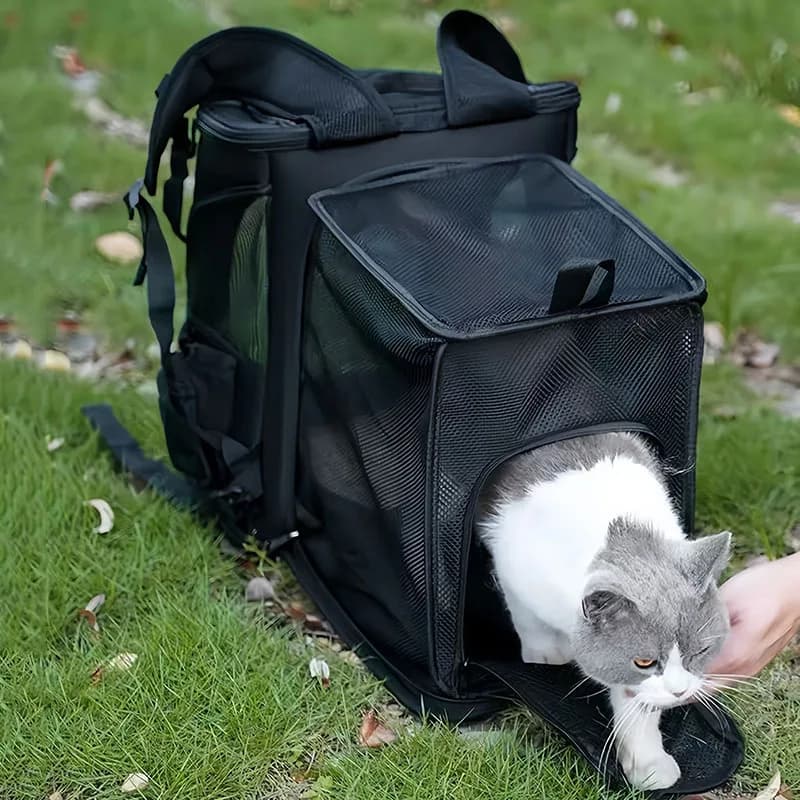 Zaino Trasportino per Cani e Gatti, Portatile con Finestra in Rete Traspirante, Pieghevole per Viaggi, Escursioni e Campeggio