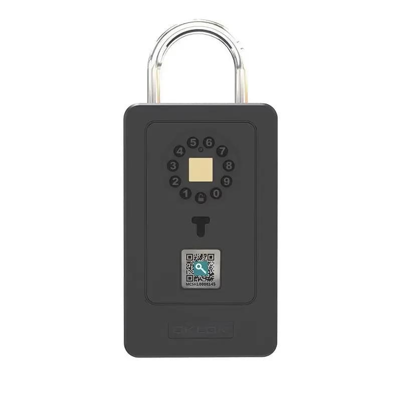 Cassetta di sicurezza intelligente con impronta digitale e password, per casa o alloggio, montaggio a parete, in metallo, antifurto, con occhio spia per porta