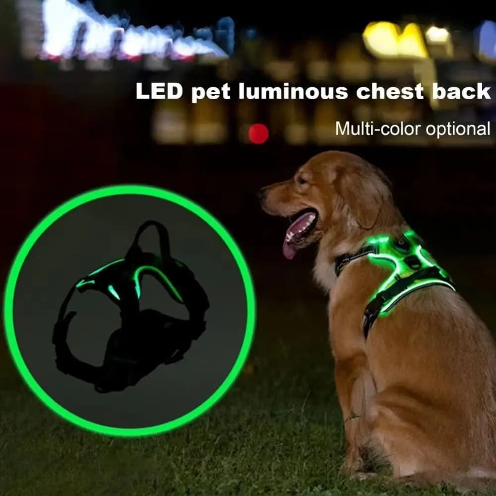 Pettorina per cani resistente con LED luminosi, regolabile, lampeggiante, cinturino pettorale imbottito, collare morbido, gilet luminoso per passeggiate notturne