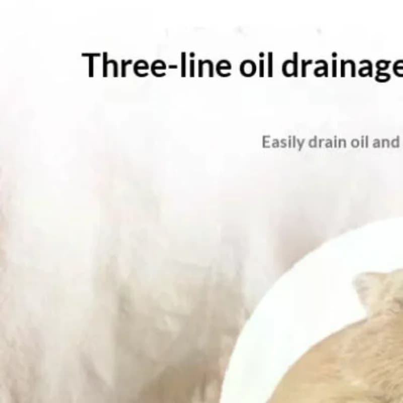 2026 Vassoio Filtrante per Olio da Cucina in Acciaio Inossidabile per Alimenti, Scolapasta a Rete per Friggitrice