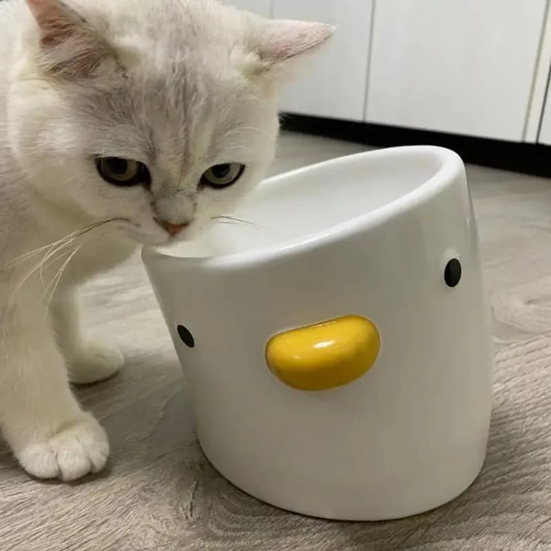 Ciotole per bere con fiocco per cani in ceramica con design simpatico pulcino per cani di piccola taglia Gatti adulti che alimentano cibo e acqua 200/500 ml