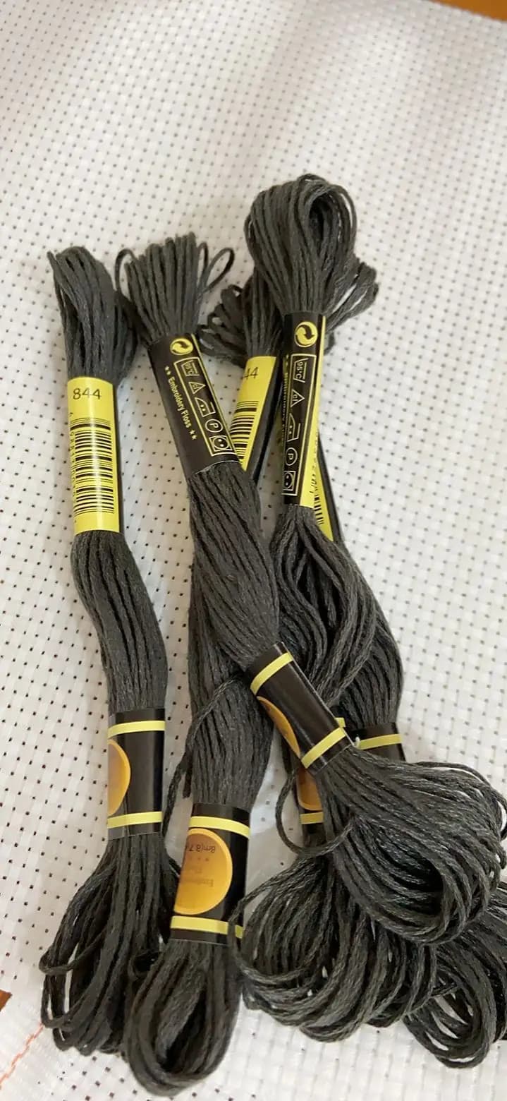 10 PZ/COLORE Set Punto Croce Filo Da Ricamo Filo Per Principianti FAI DA TE Braccialetto Melo Nessuna Ripetizione Arcobaleno DMC CODICE 844