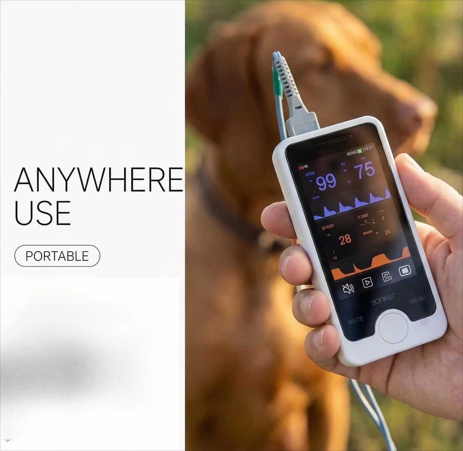 Pulsossimetro veterinario portatile con schermo touch ad alta definizione