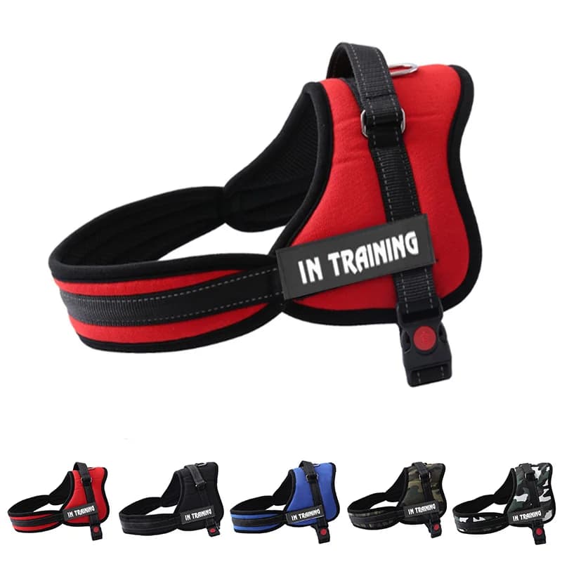 Imbracatura per cani K8 per cani di taglia media Gilet Imbracature Collari Cintura con fascia per il seno