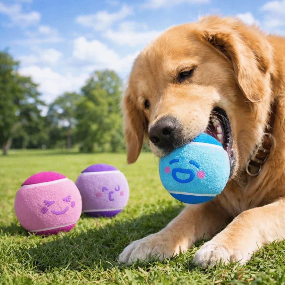 3 pezzi Palla da tennis elastica per animali domestici Colore bloccato Suono stridulo Palla interattiva per animali domestici Modello cartone animato Masticazione ecologica per cani