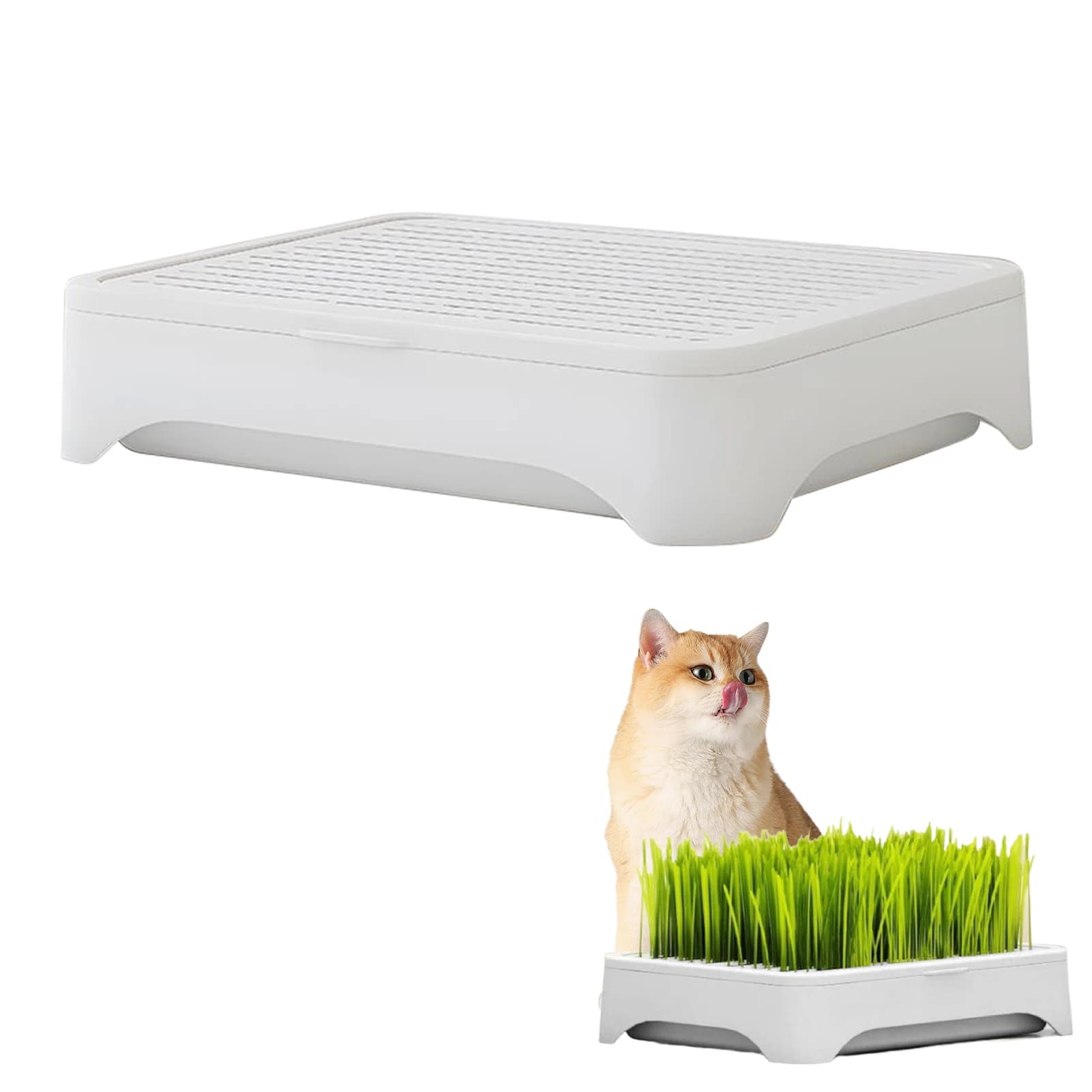Kit for growing grass for cats Hydroponic Planter Box for domestic animals Plastic Plant Box with wheat grass seeds without ground for indoor cats