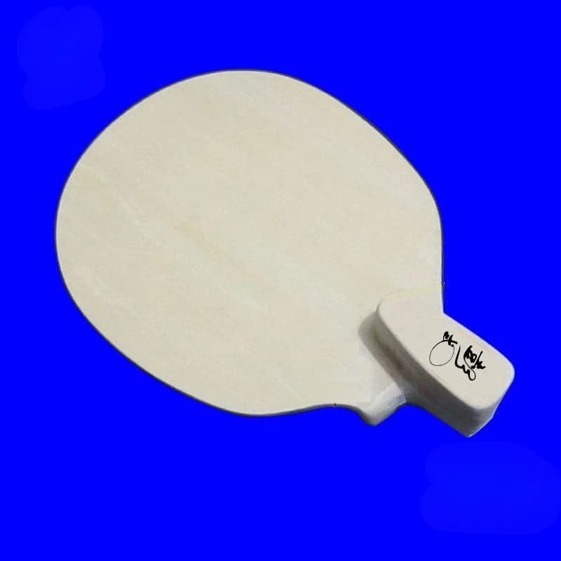 Racchette da Ping Pong di Forma Speciale, Professionali e Durevoli, Robuste Racchette da Allenamento, Racchette Sportive Portatili