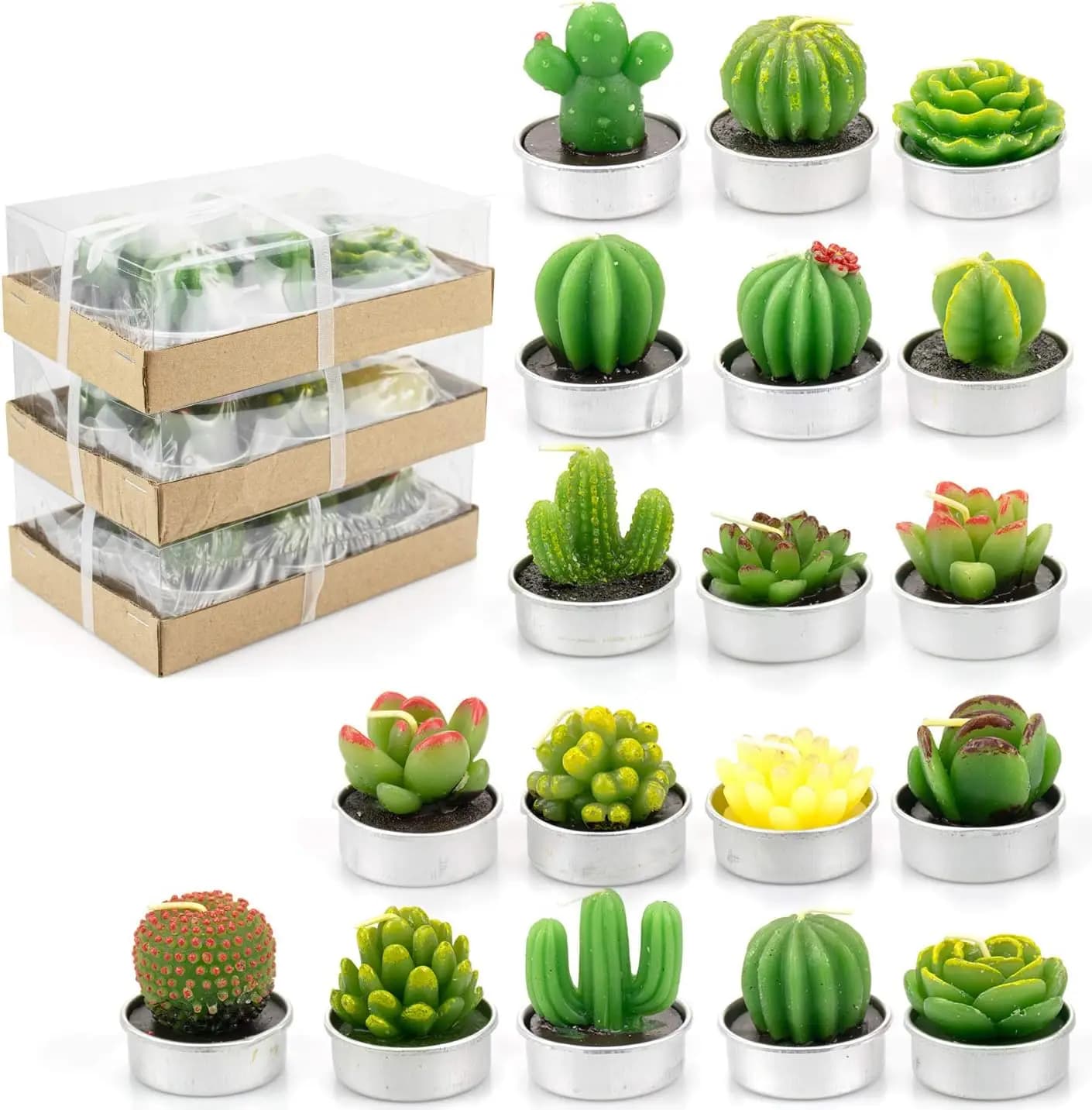 Set of 18 Candles Tealight in Cactus Shape - Mini Plants Succulent Handmade for Home Decorations, Weddings, Celebrations