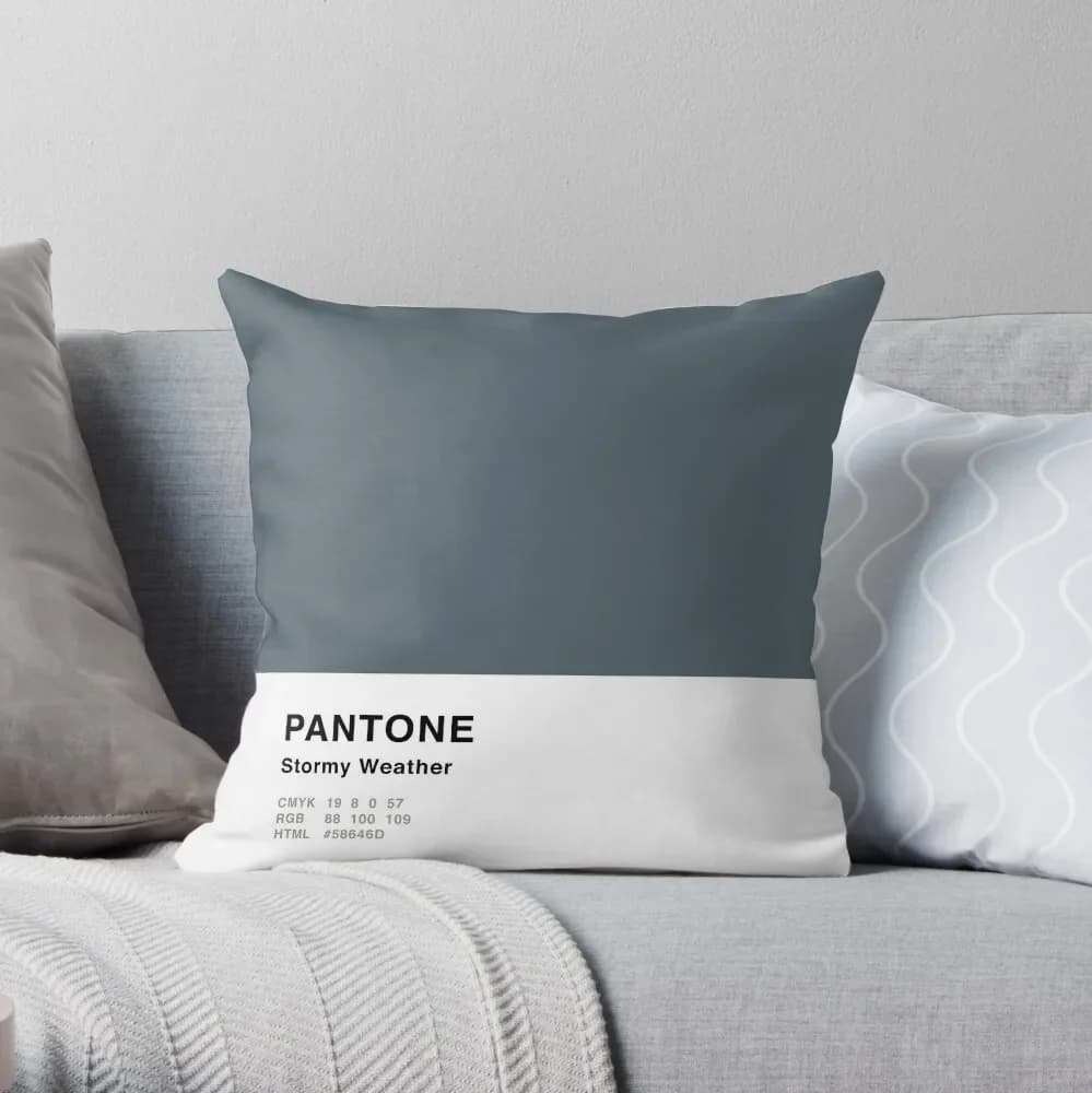 Burnough Weather Grey Pantone Design simple pillow pillowcase for sofas
