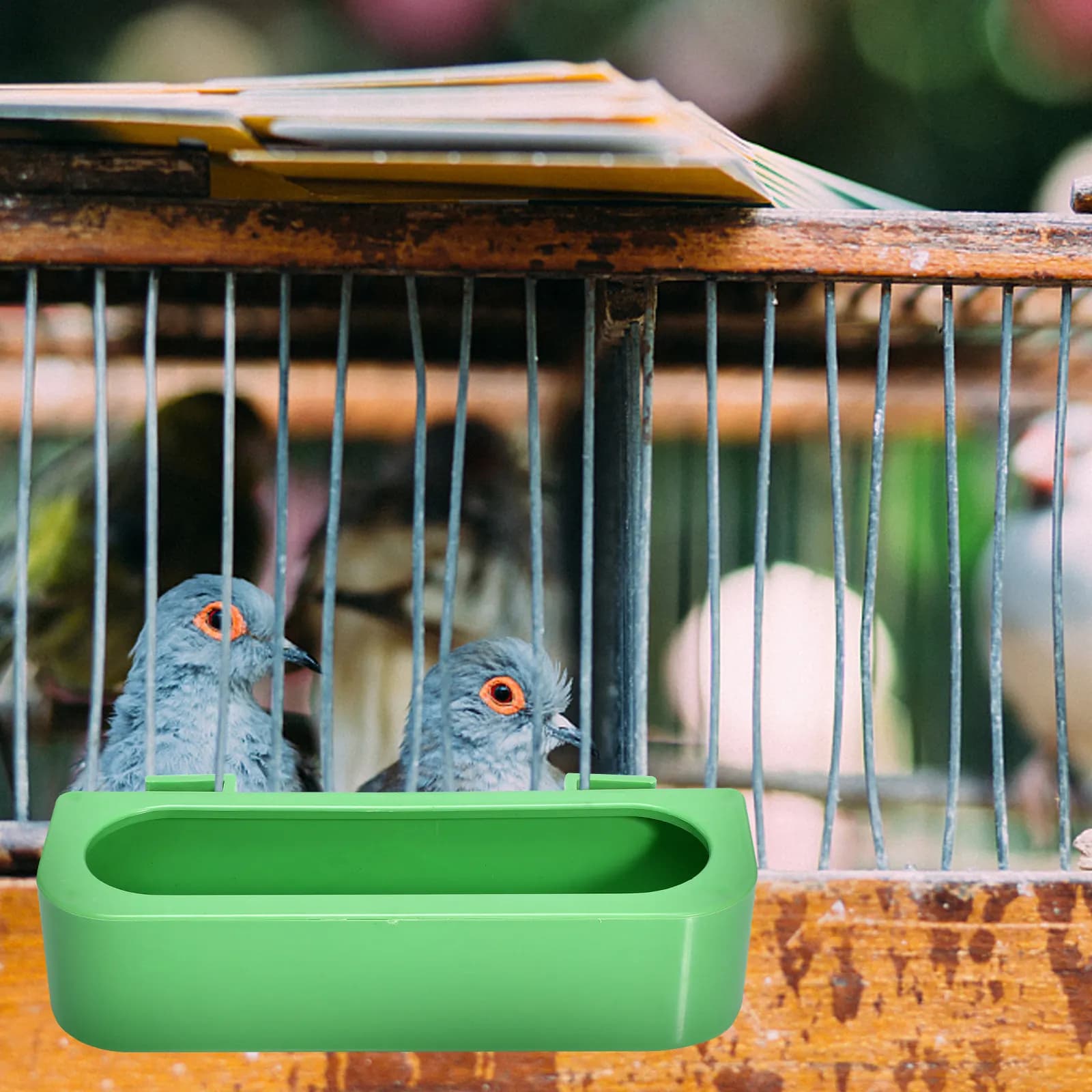 4pcs Pigeon Feeders Plastic Bird Food Trough Easy Install Durable Cage Feeding Bowl For Birds Pet Bird Supply Hanging Feeder