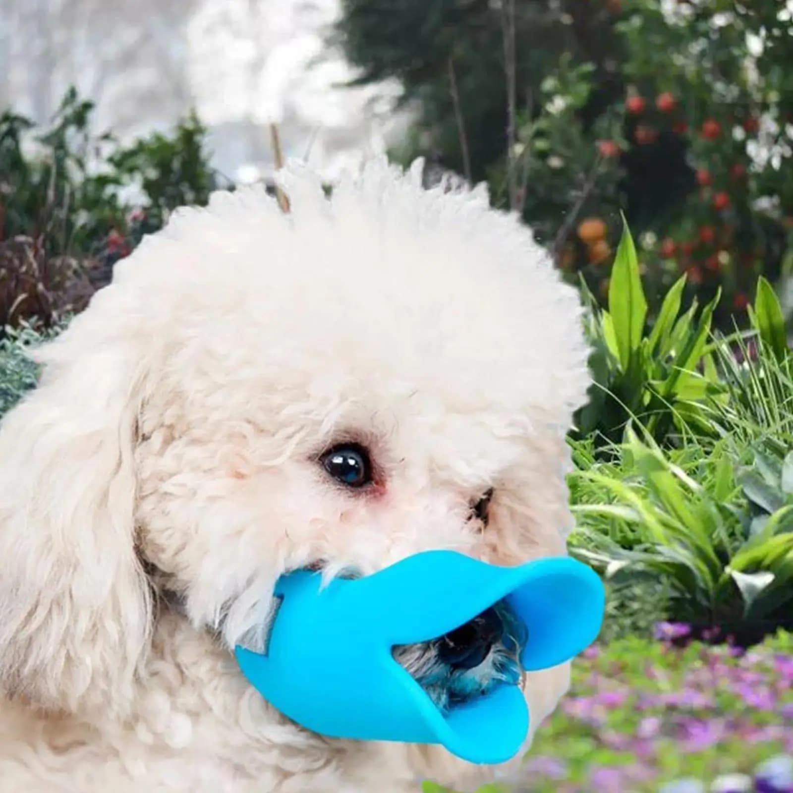 Museruola per Cani Traspirante e Confortevole per Addestramento e Toelettatura, Previene Morsi e Masticazioni, Copertura Morbida in Silicone a Forma di Becco d'Anatra con Cinghia Regolabile