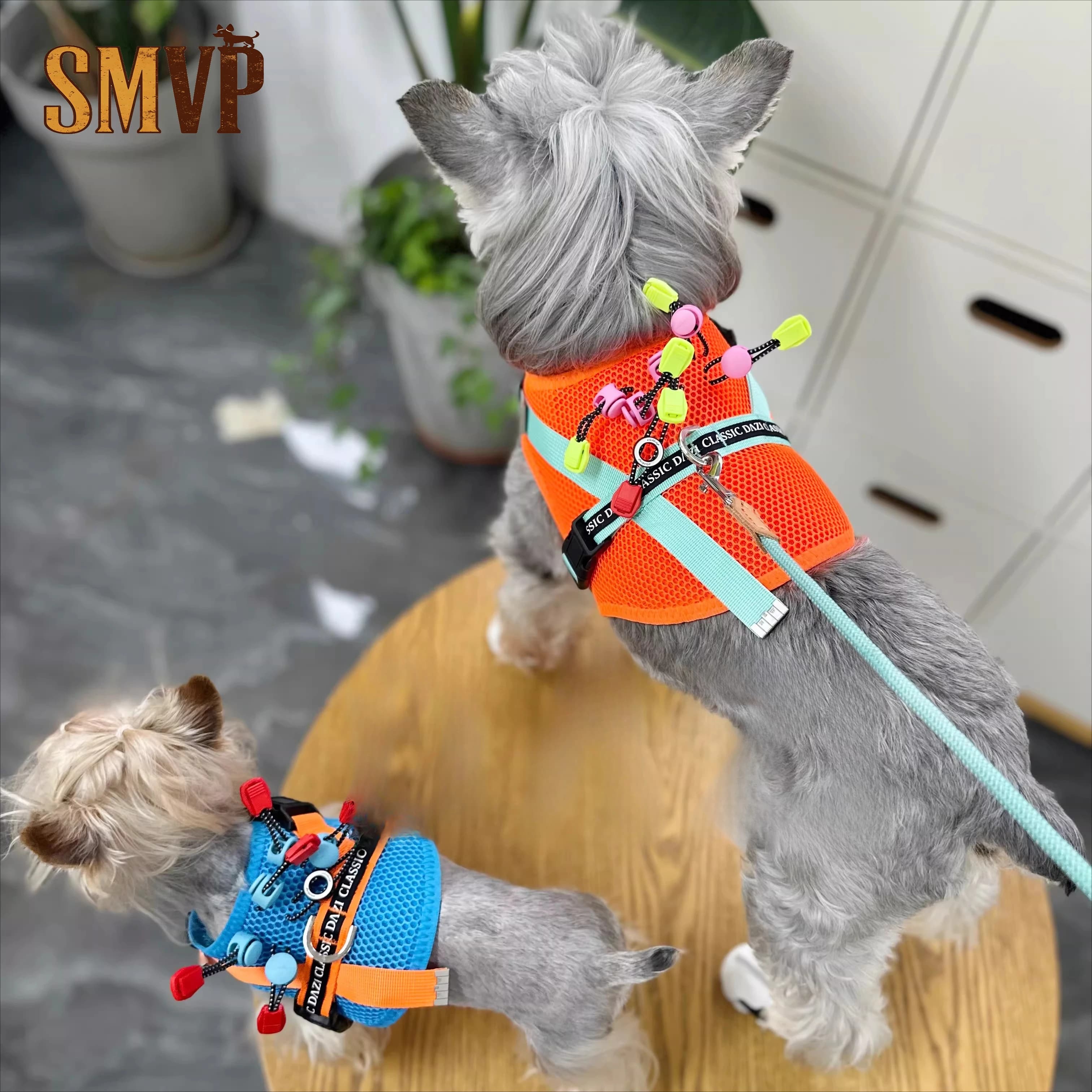 Four Seasons Color Portable Breathable Mesh Going Out Chest Strap Pet Small Dog Strap Leash Dog Walking Supplies